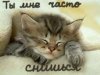 гипнотическая программа для похудения