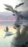 компьютерная программа для похудения